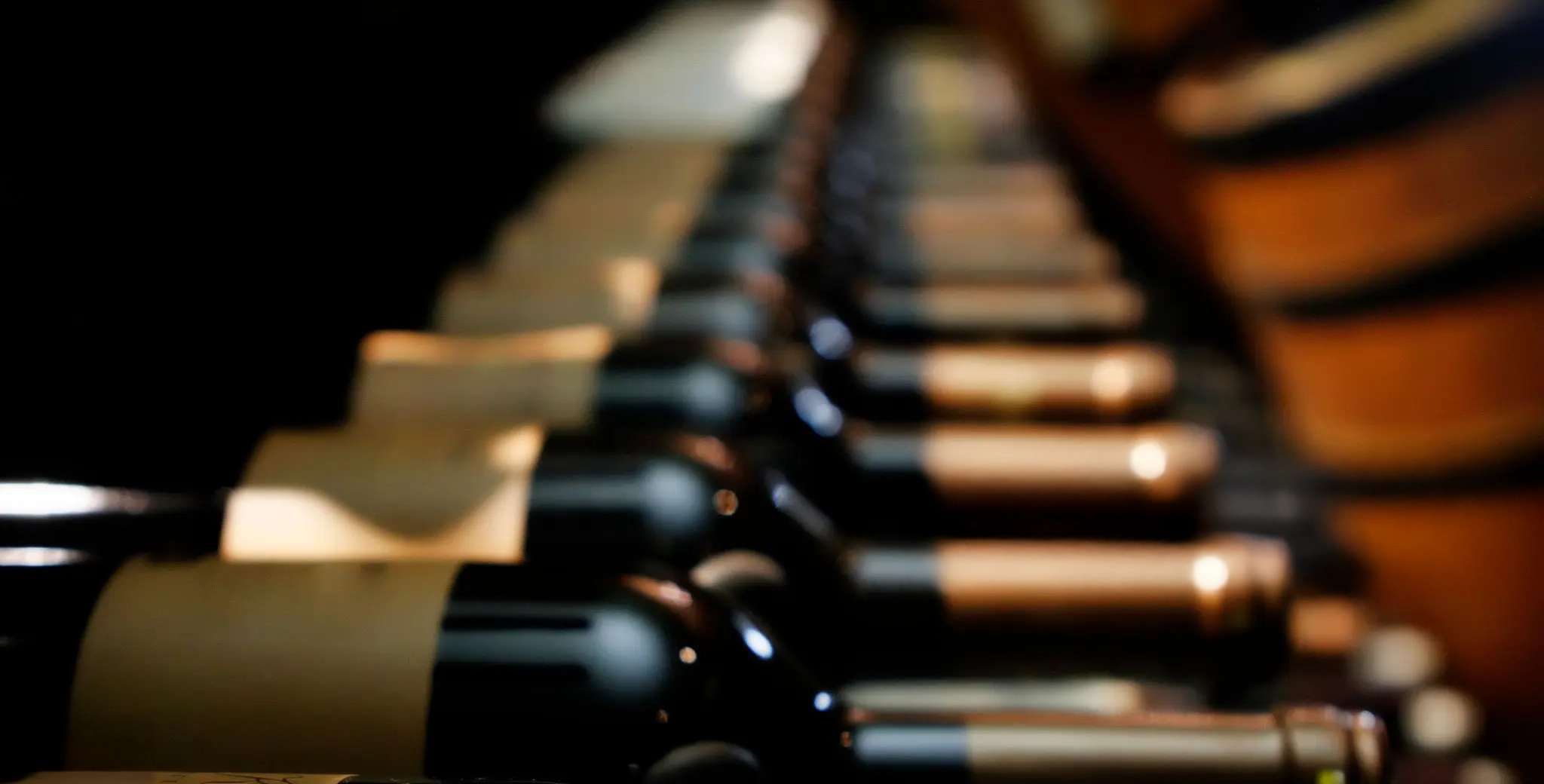 Vins rouges à garder